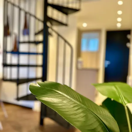 Dreamstay Loft Apartment